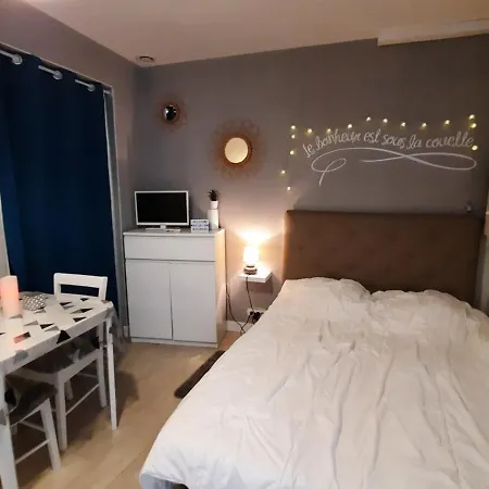 Apartamento **charmant Studio Medieval Au Coeur De La Roche-posay, Proche Thermes Et Commerces** - Fr-1-541-41 La Roche-Posay