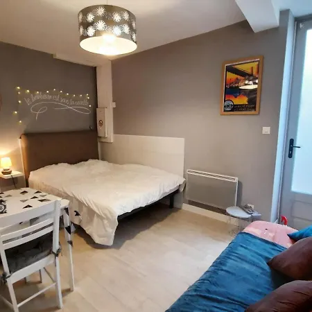 **charmant Studio Medieval Au Coeur De La Roche-posay, Proche Thermes Et Commerces** - Fr-1-541-41