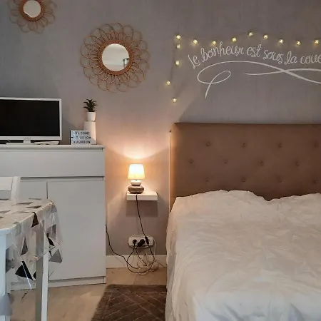 Apartamento **charmant Studio Medieval Au Coeur De La Roche-posay, Proche Thermes Et Commerces** - Fr-1-541-41