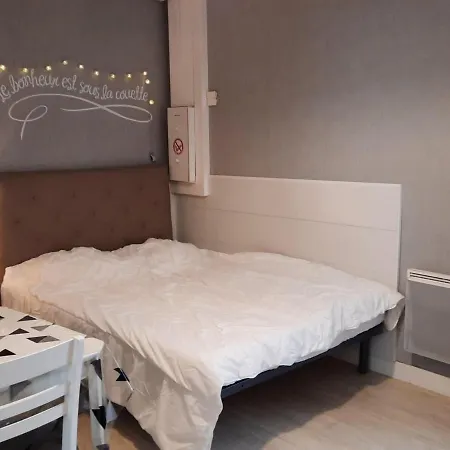 **charmant Studio Medieval Au Coeur De La Roche-posay, Proche Thermes Et Commerces** - Fr-1-541-41 * La Roche-Posay