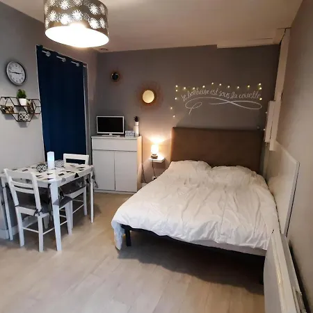 **charmant Studio Medieval Au Coeur De La Roche-posay, Proche Thermes Et Commerces** - Fr-1-541-41 Apartamento La Roche-Posay