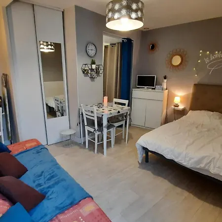 **charmant Studio Medieval Au Coeur De La Roche-posay, Proche Thermes Et Commerces** - Fr-1-541-41 Apartamento *