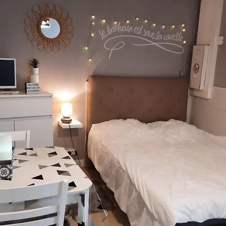 **charmant Studio Medieval Au Coeur De La Roche-posay, Proche Thermes Et Commerces** - Fr-1-541-41 La Roche-Posay