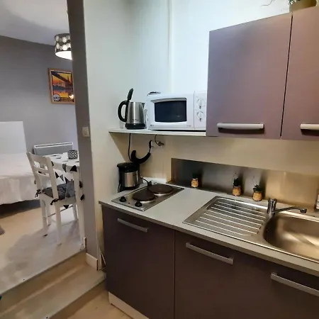 **charmant Studio Medieval Au Coeur De La Roche-posay, Proche Thermes Et Commerces** - Fr-1-541-41 Apartamento *