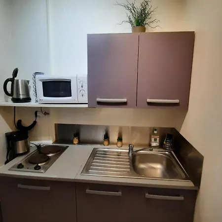 **charmant Studio Medieval Au Coeur De La Roche-posay, Proche Thermes Et Commerces** - Fr-1-541-41 Apartamento *